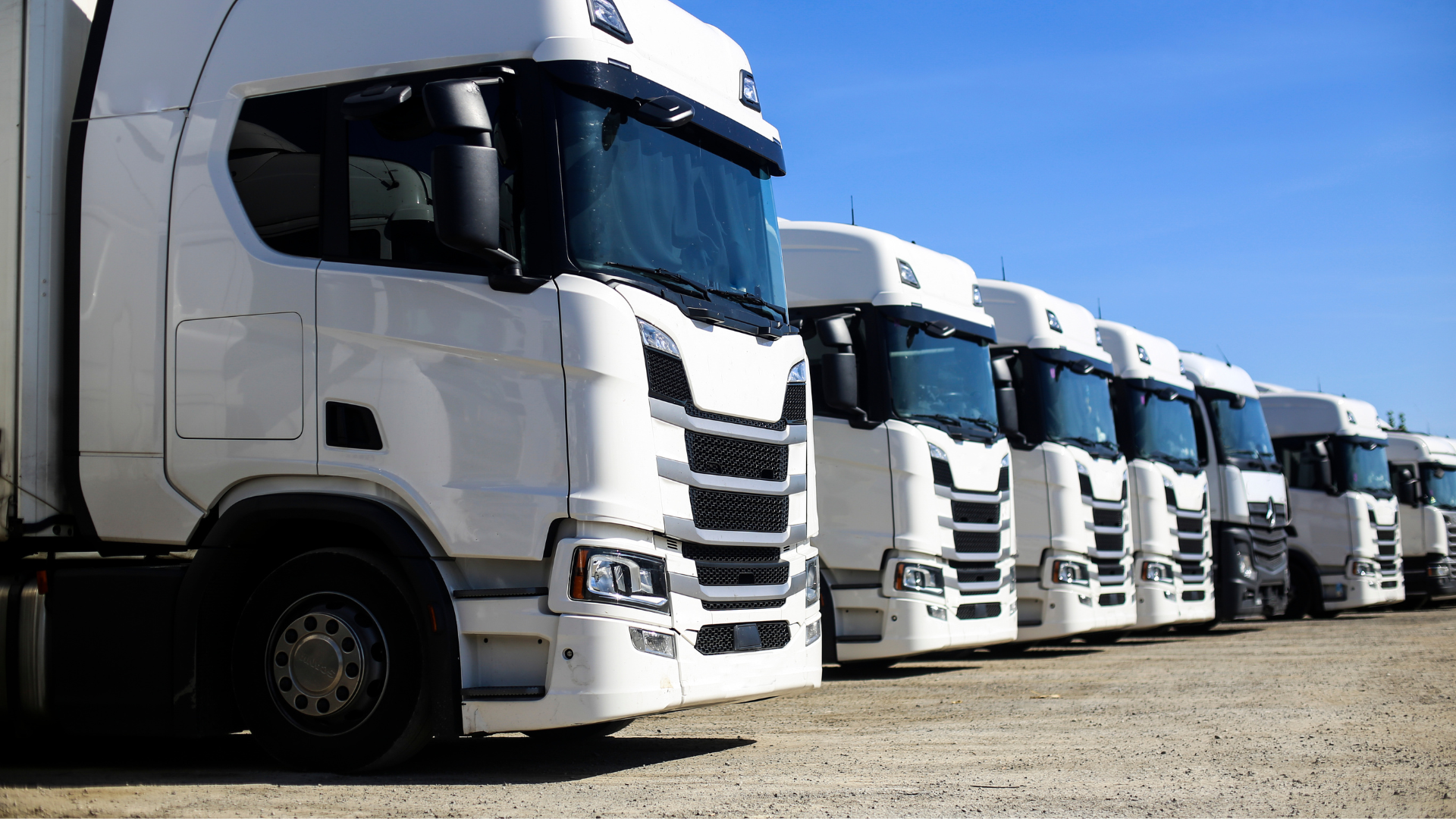 ALBRIGHT LOGISTICS LLC fleet